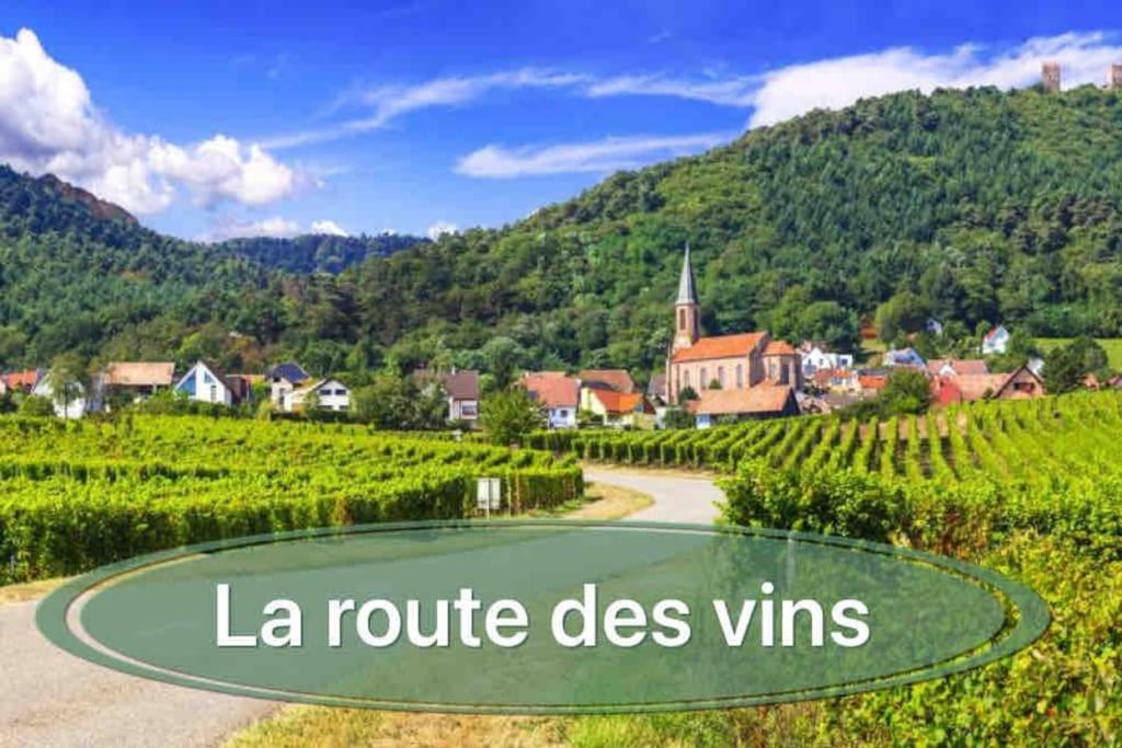 Gite Classe 4 Etoiles  La Maison Du Tonnelier Oberbronn Eksteriør billede