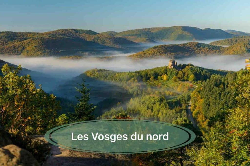 Gite Classe 4 Etoiles  La Maison Du Tonnelier Oberbronn Eksteriør billede