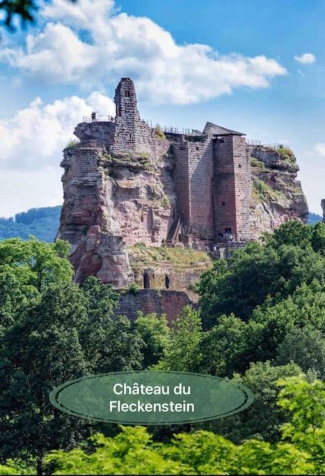 Gite Classe 4 Etoiles  La Maison Du Tonnelier Oberbronn Eksteriør billede