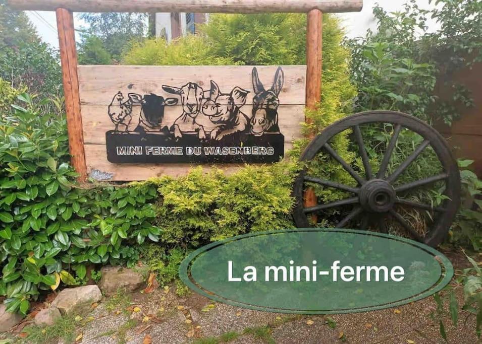 Gite Classe 4 Etoiles  La Maison Du Tonnelier Oberbronn Eksteriør billede